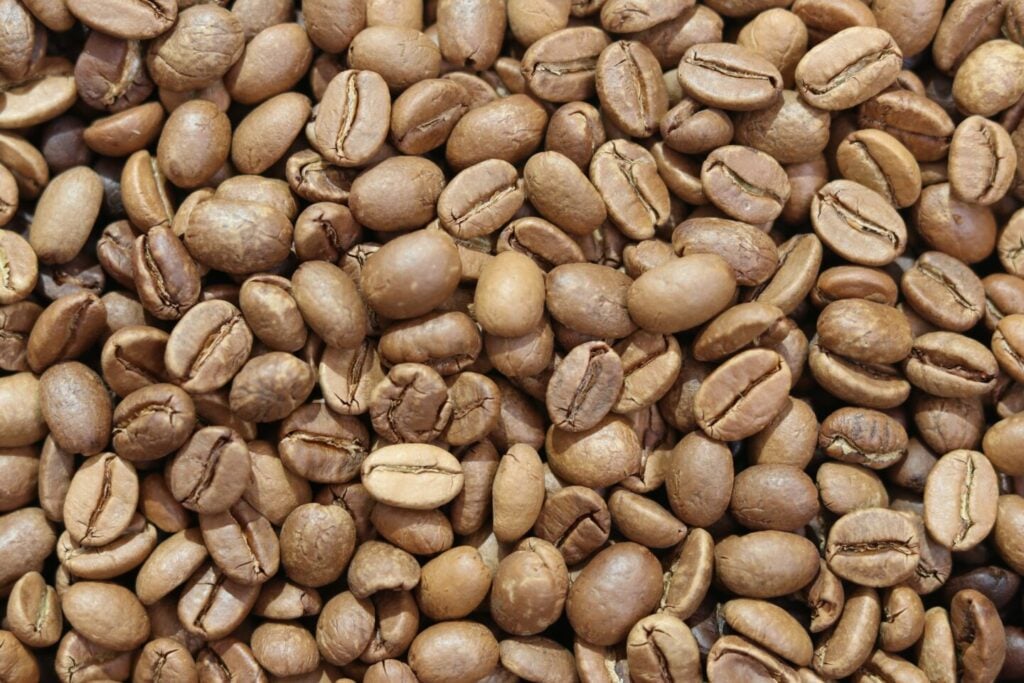 10 Best Light Roast Coffee Tastylicious