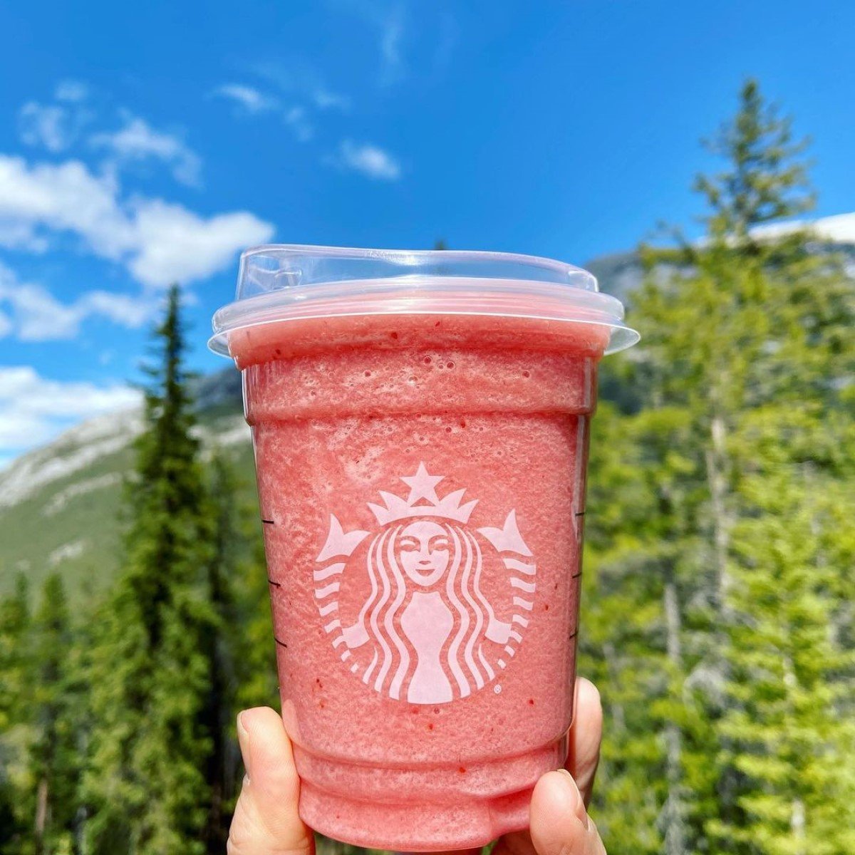 close up on starbucks blended strawberry lemonade with tall trees in background