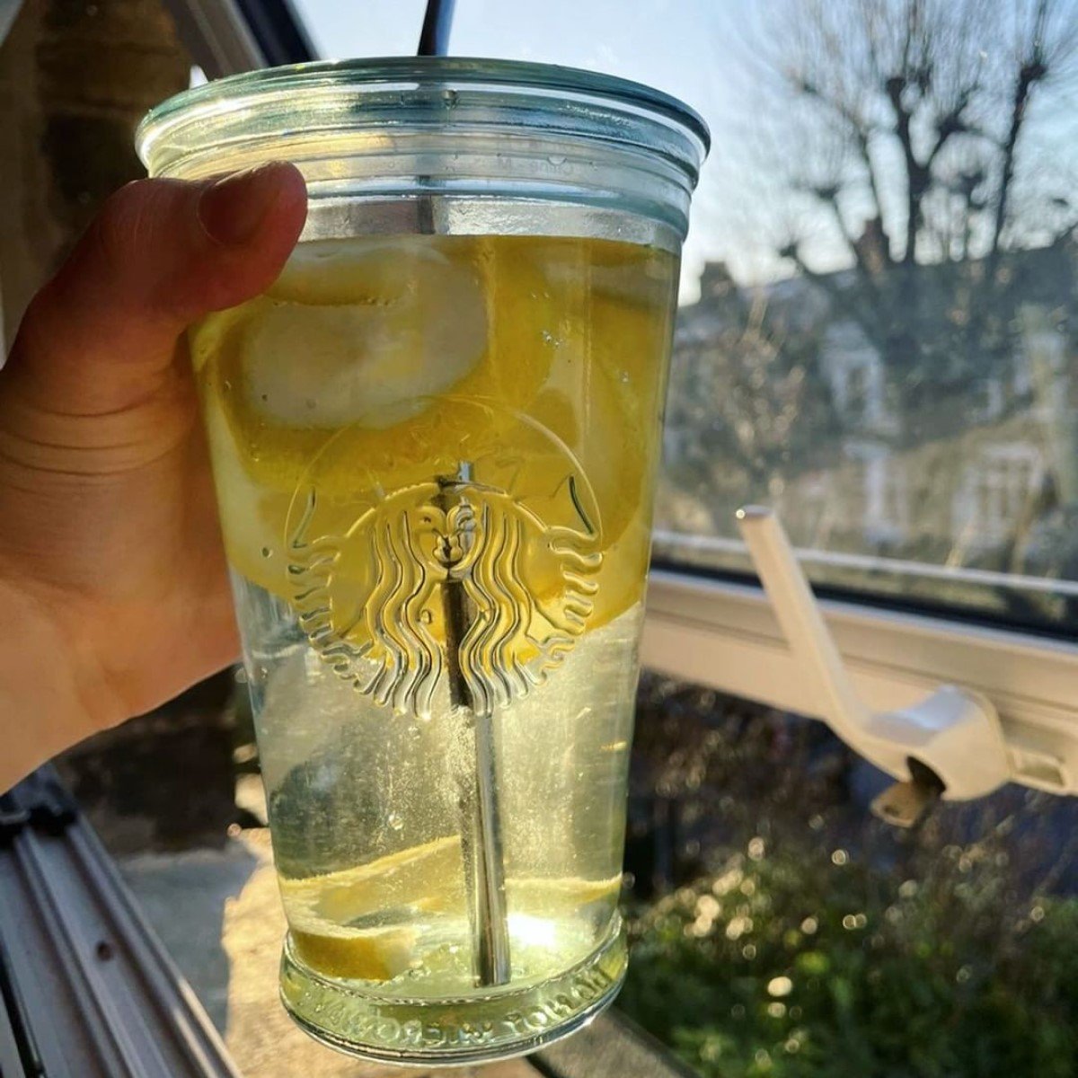 close up on starbucks lemonade in transparent reusable glass bottle
