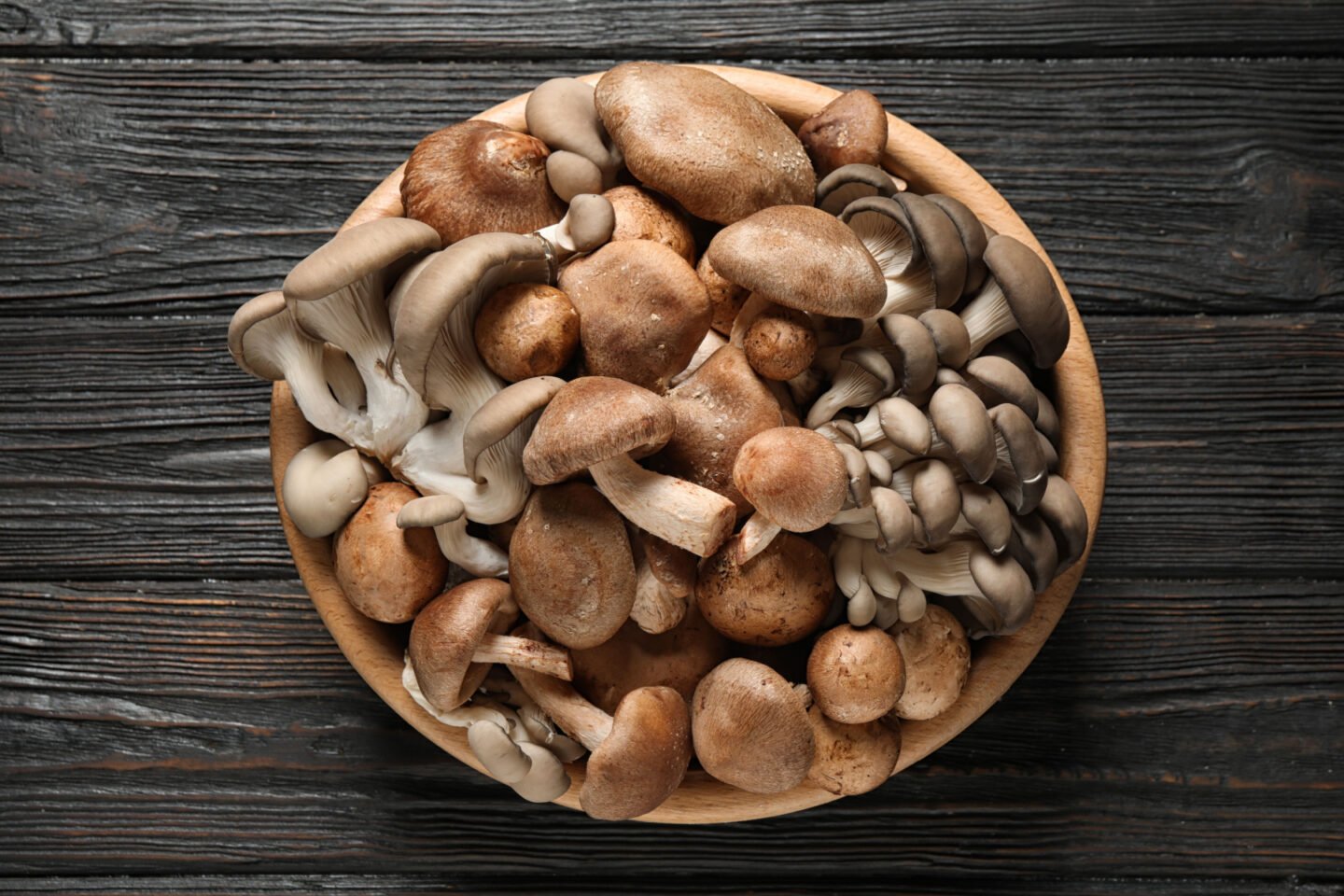 different wild mushrooms
