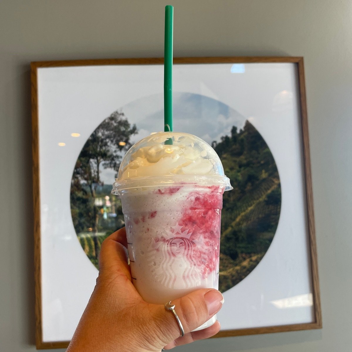 holding a strawberry shortcake frappe