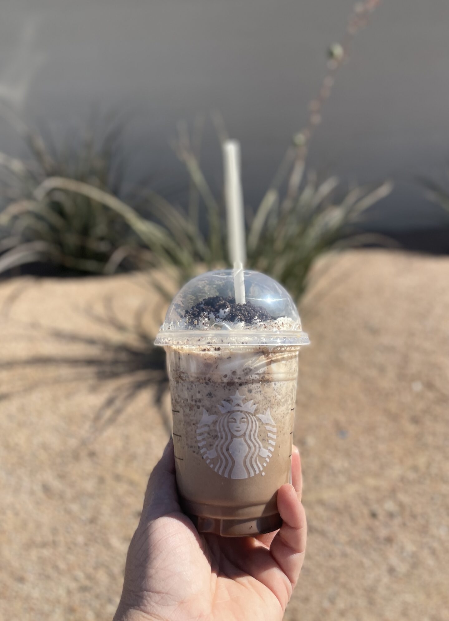 kinder bueno frappe outdoors