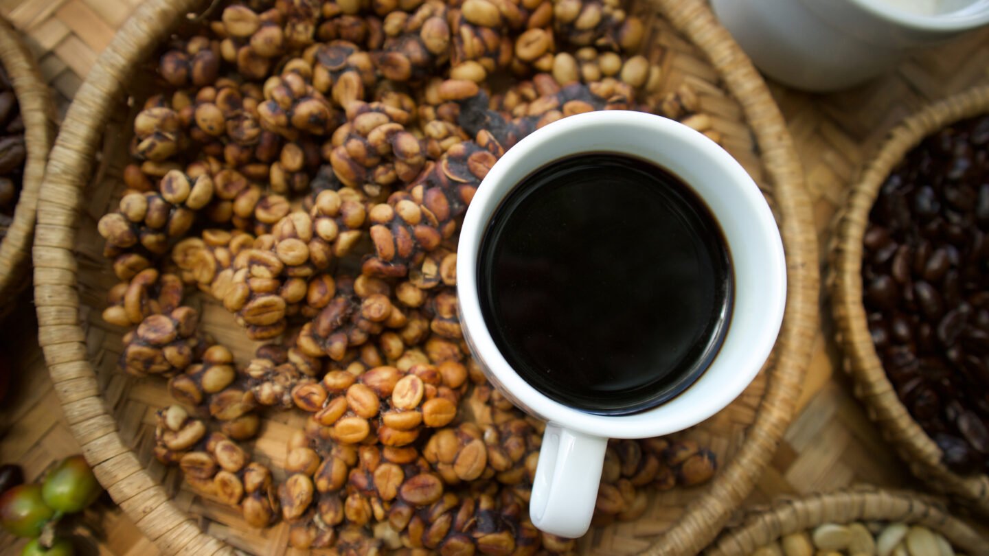 kopi-luwak-with-cup-of-coffee