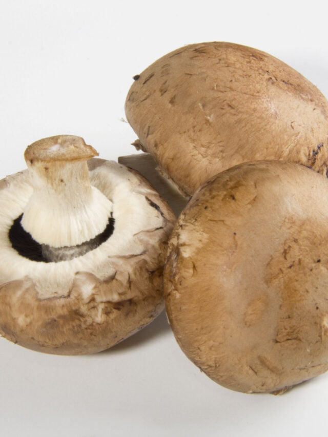 How Long to Boil Mushrooms? - Tastylicious
