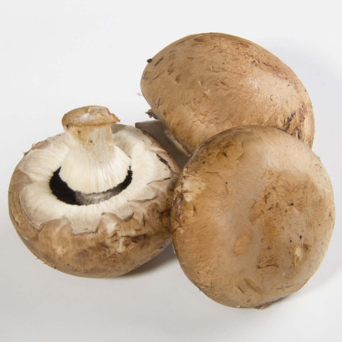 A Complete Guide To Chestnut Mushrooms Benefits To Recipes Tastylicious