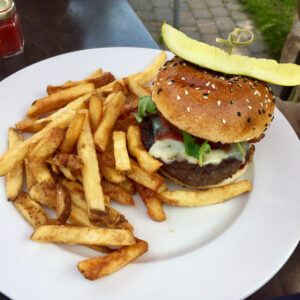 tasty bison burger with fries