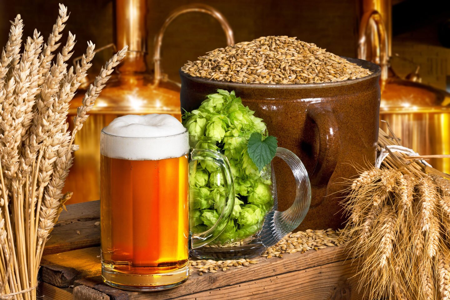 brewing beer with hops and barley