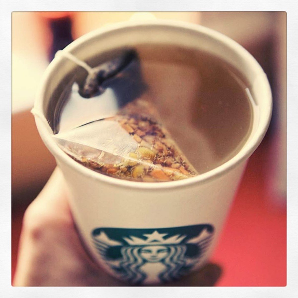 close up on starbucks medicine ball or honey citrus mint tea