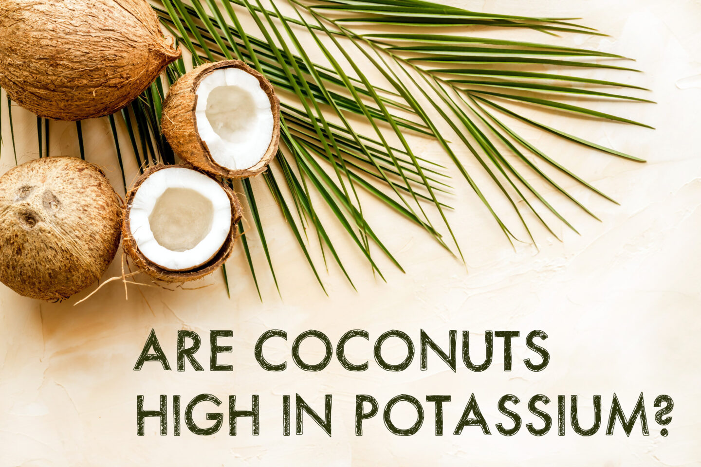 coconuts rich in potassium