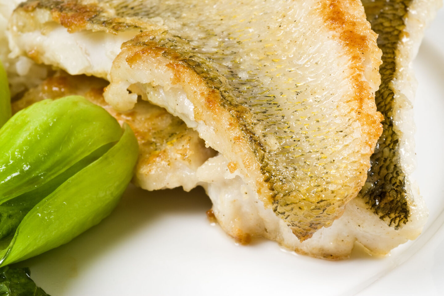 cooked pickerel fish fillet