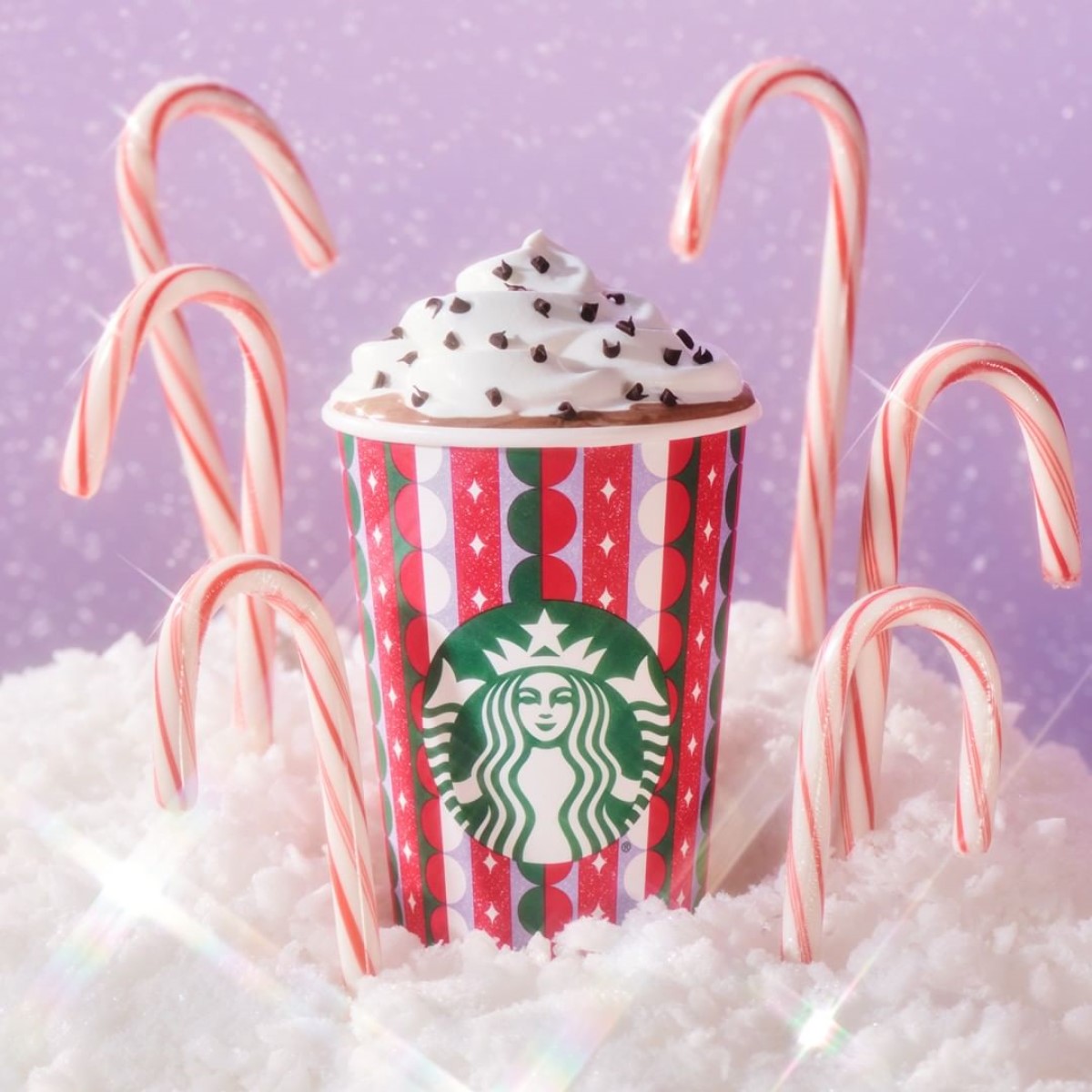 cup of starbucks peppermint mocha on white surface surrounded by candy canes