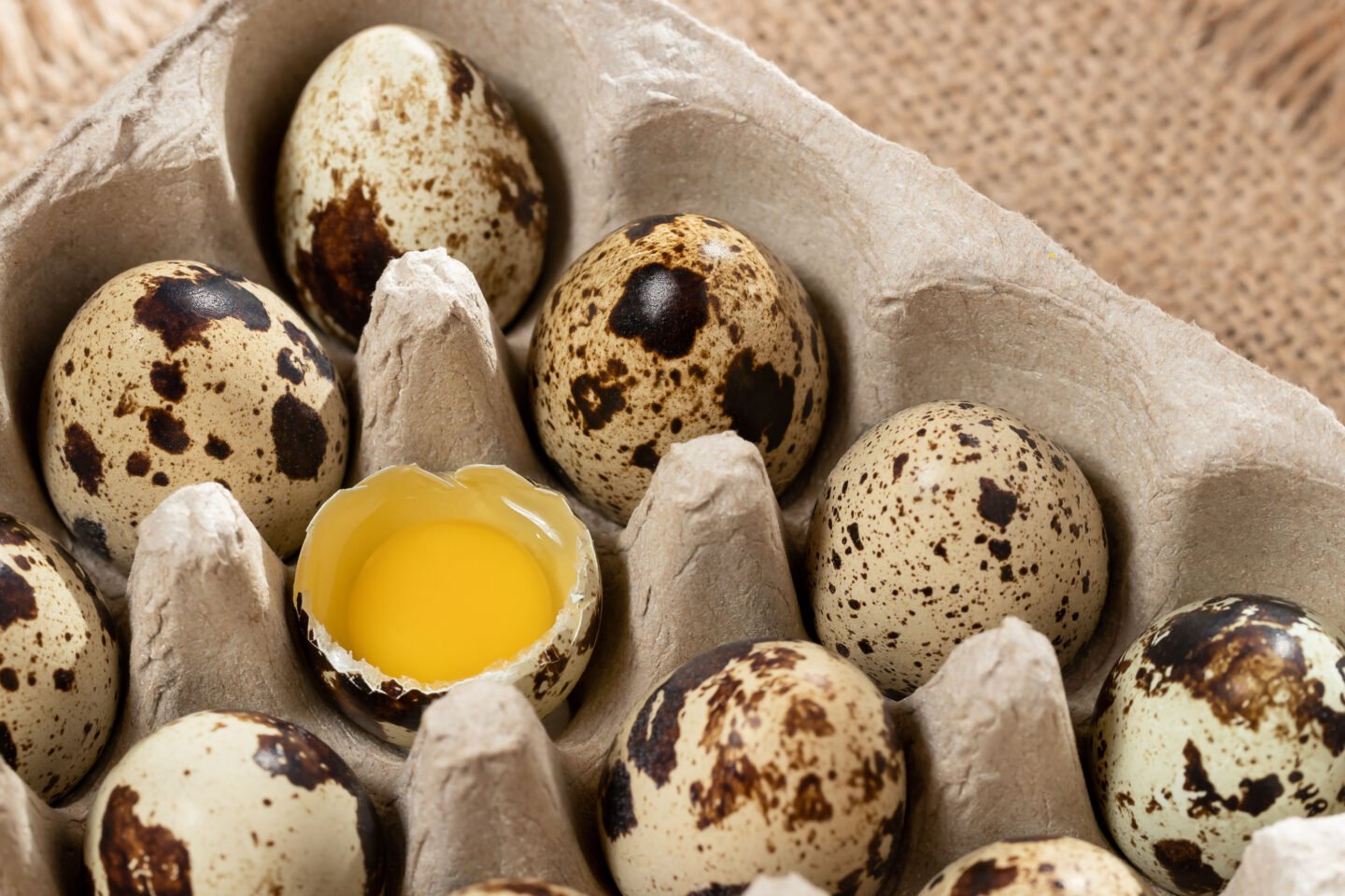 dozen quail eggs