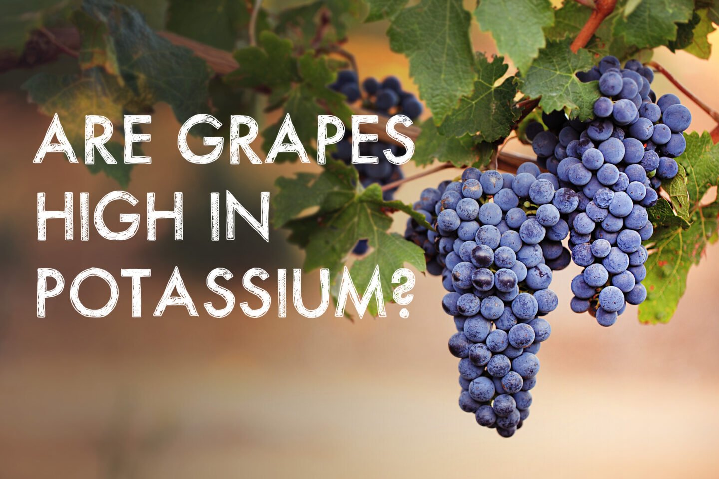 grapes rich in potassium