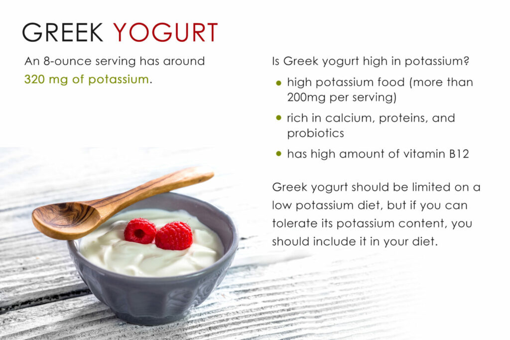 Is Greek Yogurt High in Potassium? Tastylicious