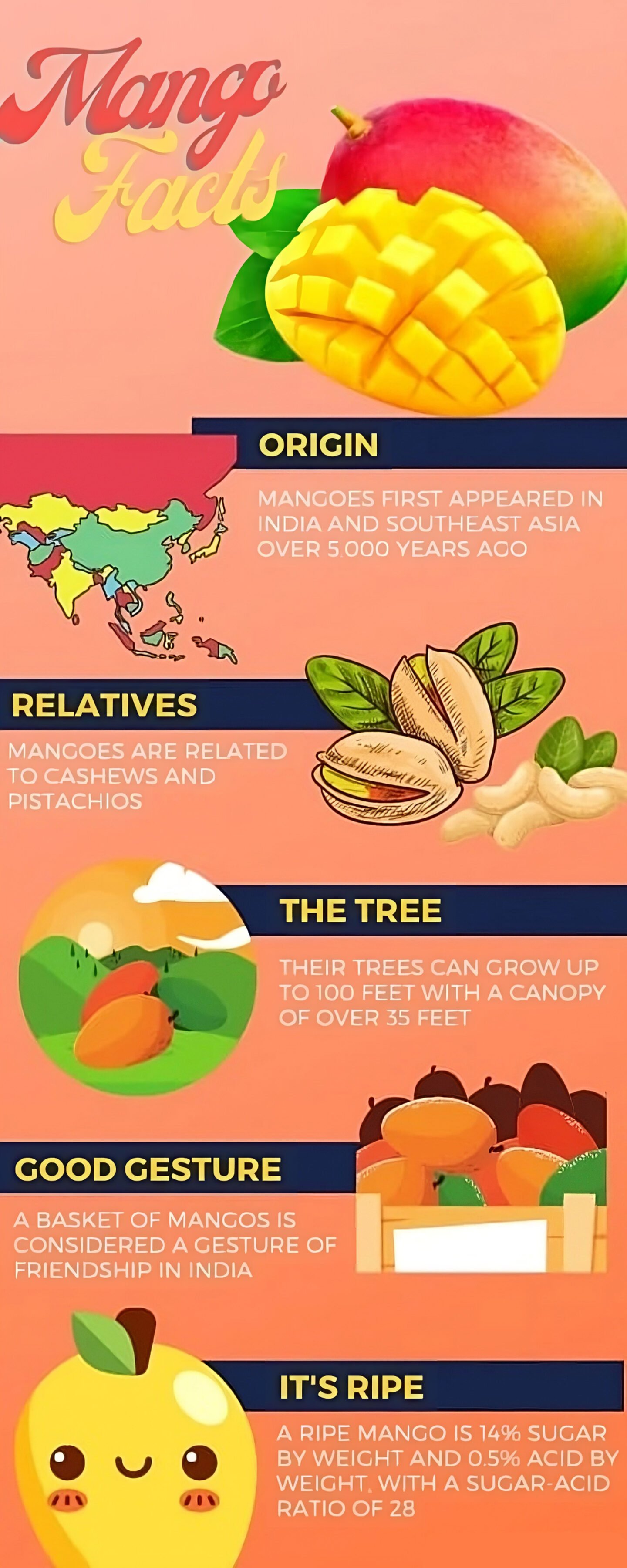 mango facts infographic
