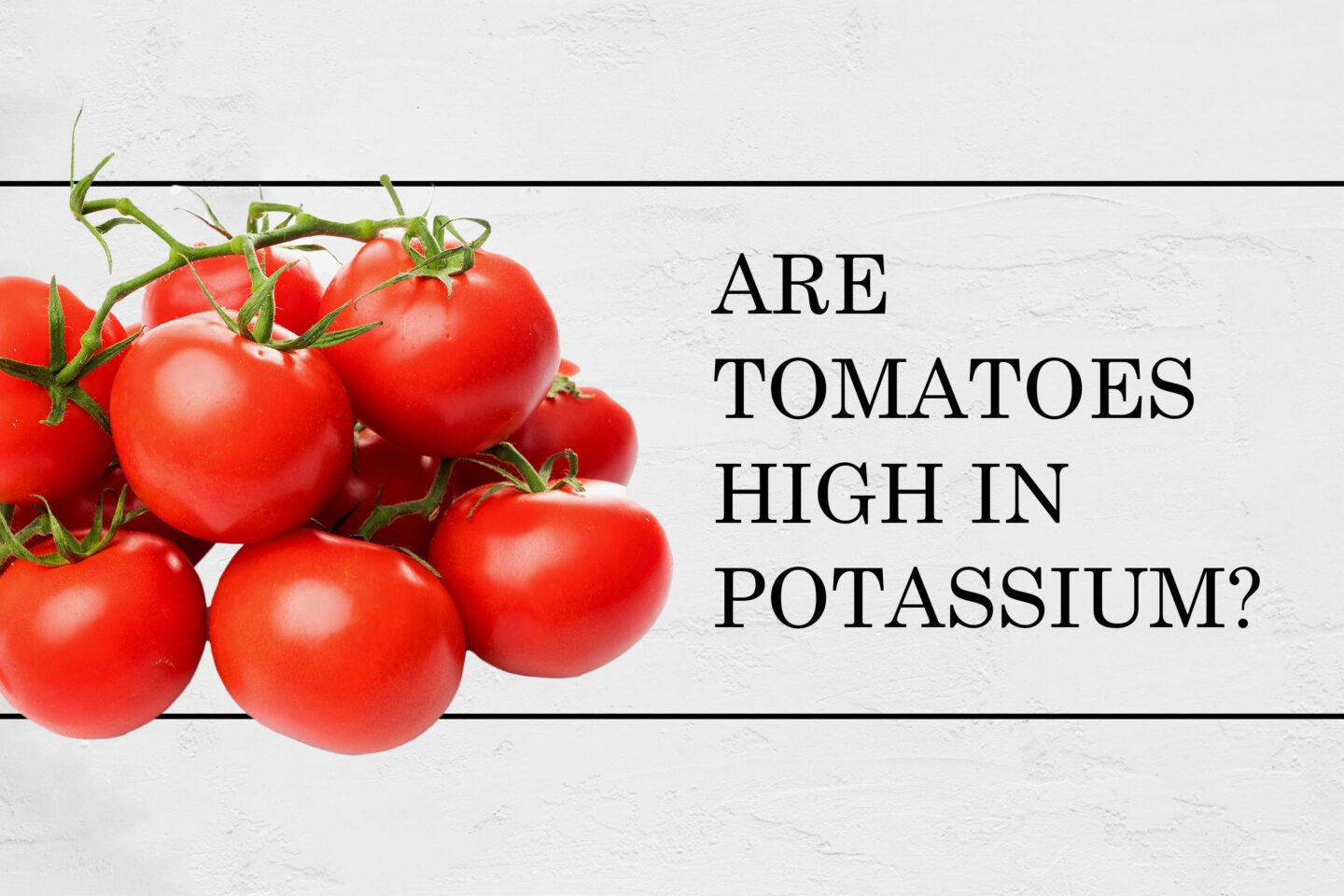 potassium in tomatoes