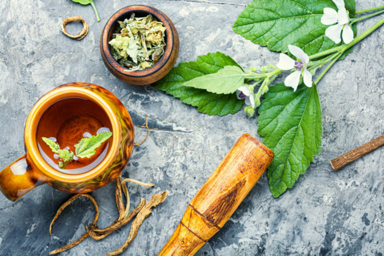 10 Best Teas for Acid Reflux and Heartburn Tastylicious