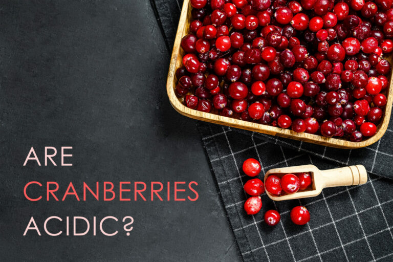 Are Cranberries Acidic? Tastylicious