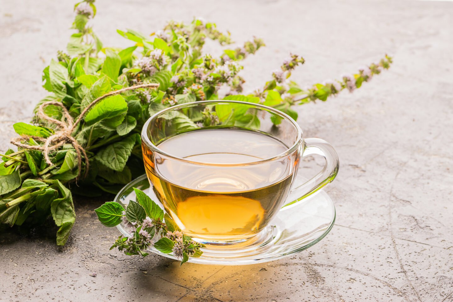 Cup of tea drink with fresh leaves of peppermint melissa gray background. Healing herbal drink. Horizontal frame.