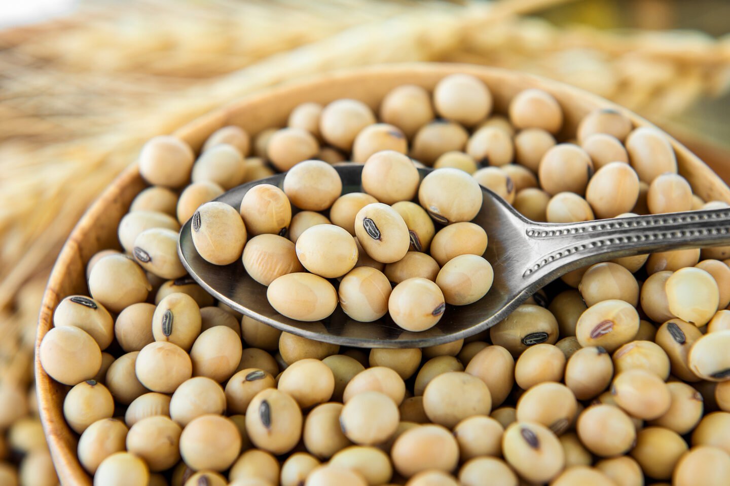 soy beans in wood bowl
