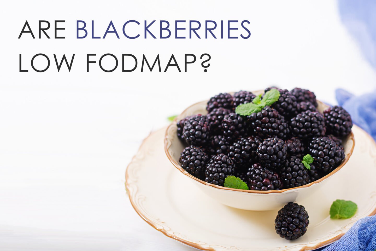 are blackberries low foodmap food