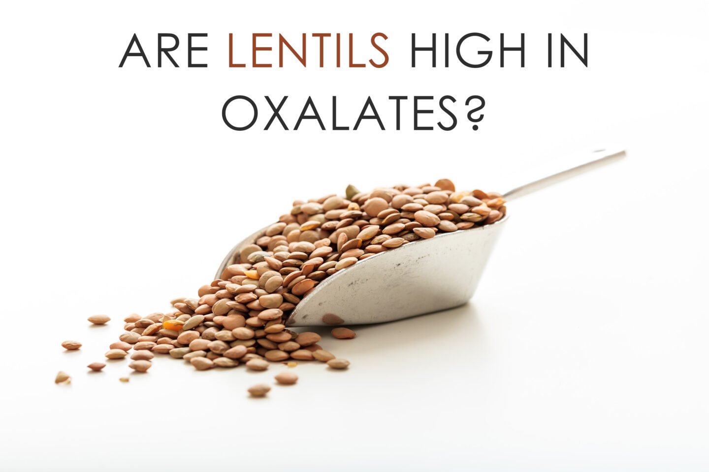 are lentils high in oaxalates