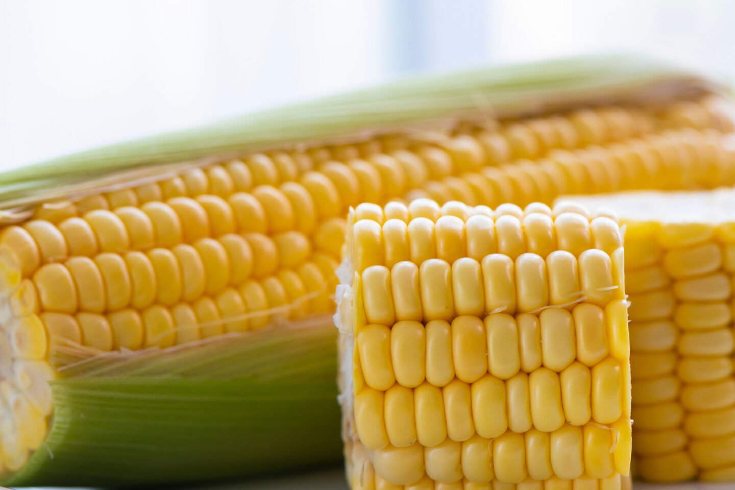 close up fresh corn