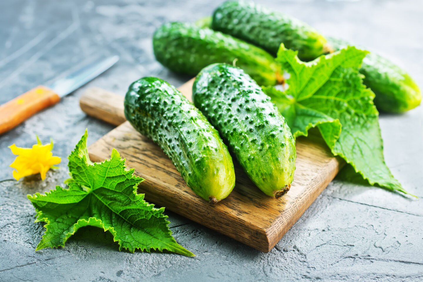 cucumbers with leaves and blossoms