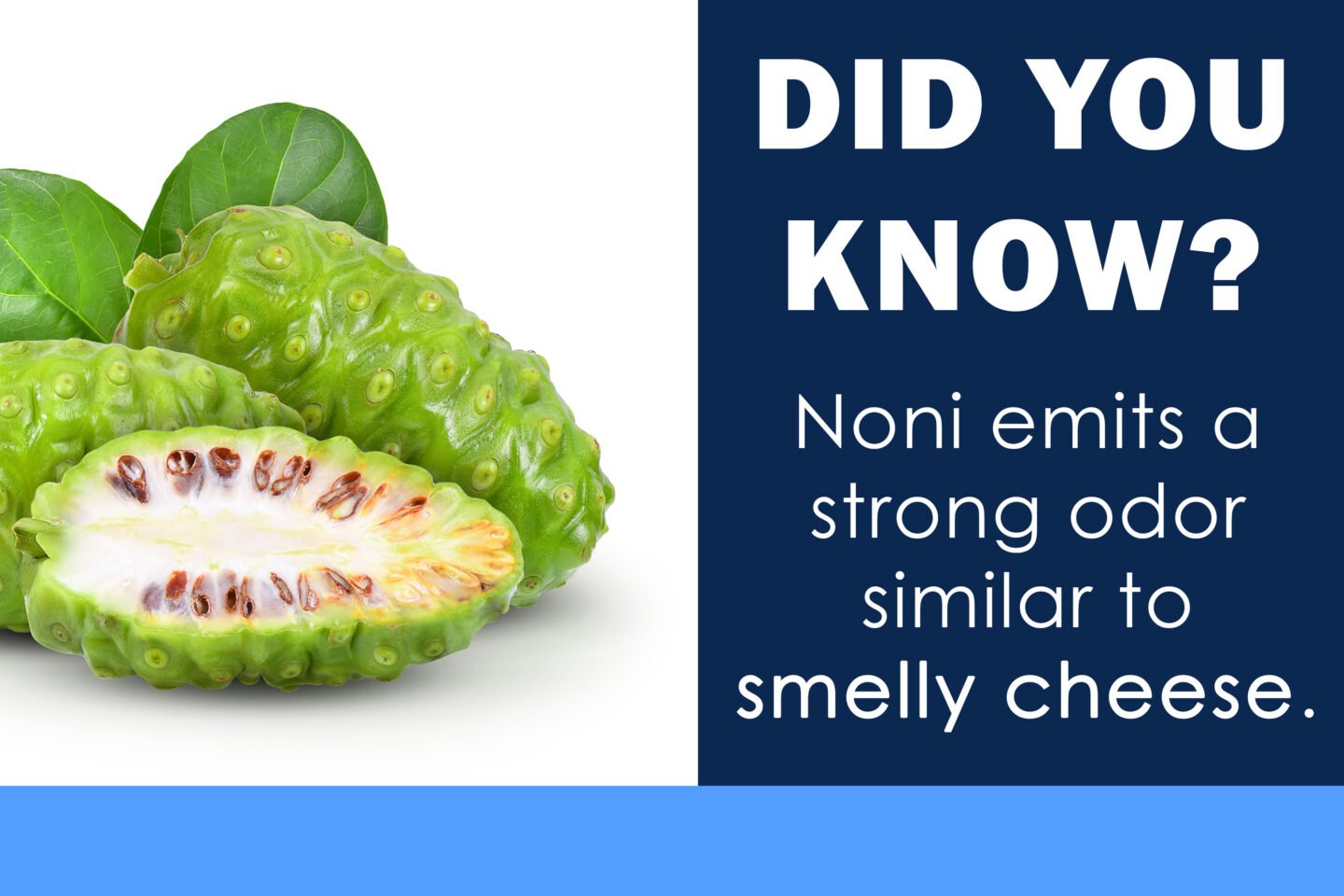 What Does Noni Fruit Taste Like?