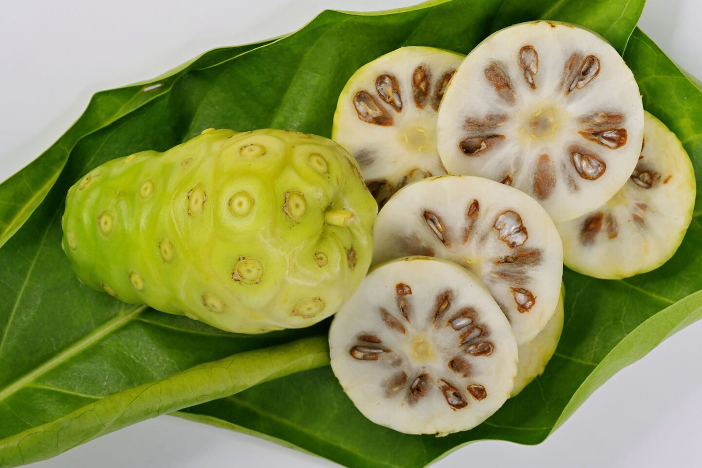 whole noni fruit morinda citrifolia