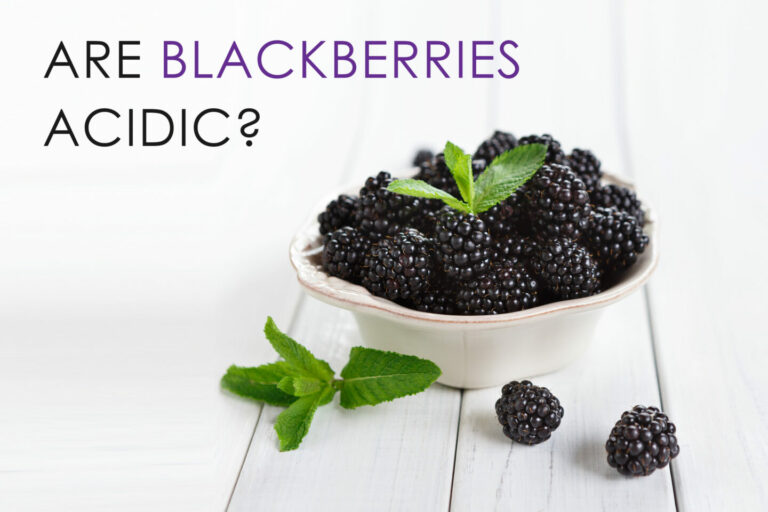 Are Blackberries Acidic? Tastylicious