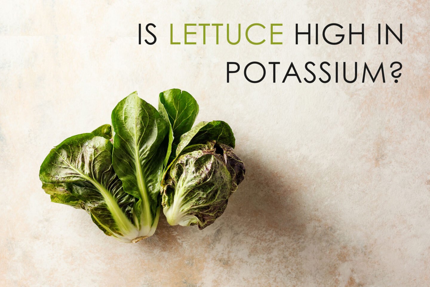 is lettuce high in potassium