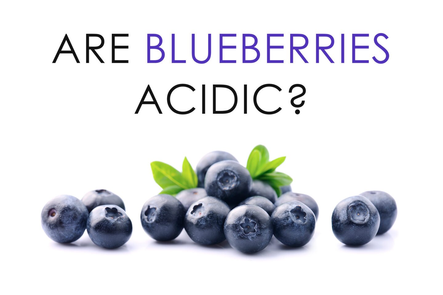 are blueberries acidic