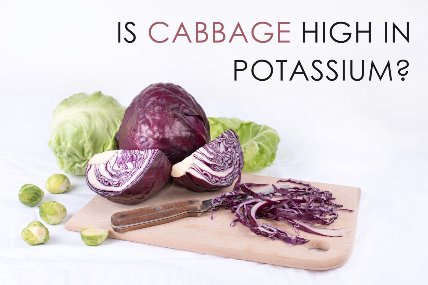 is cabbage high in potassium