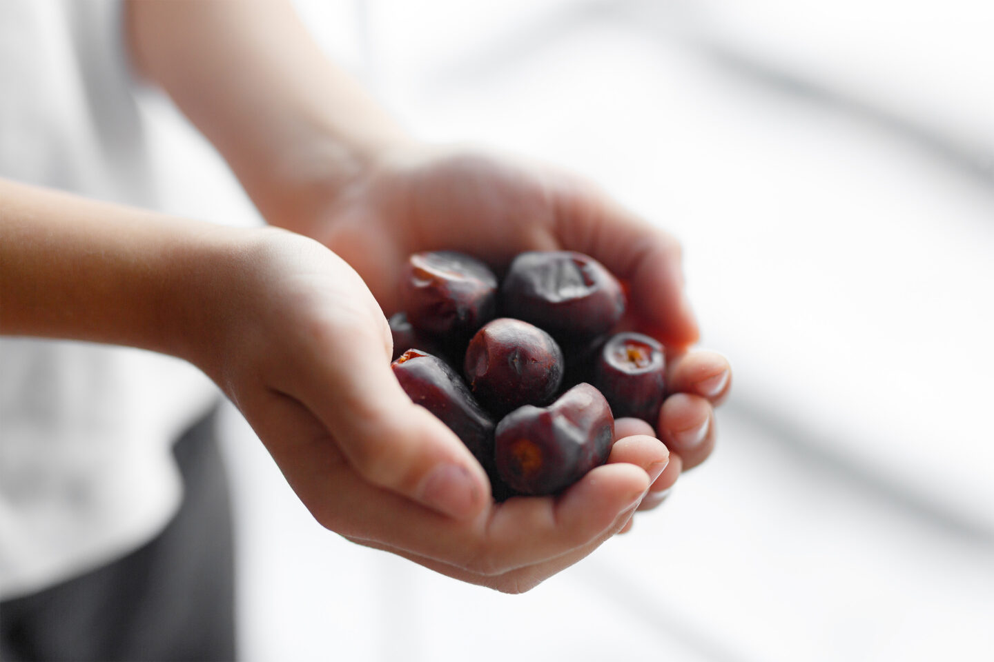 dried dates in hands of a boy