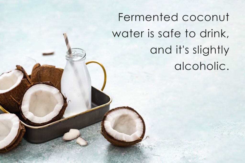 Is Fermented Coconut Water Alcoholic? Tastylicious