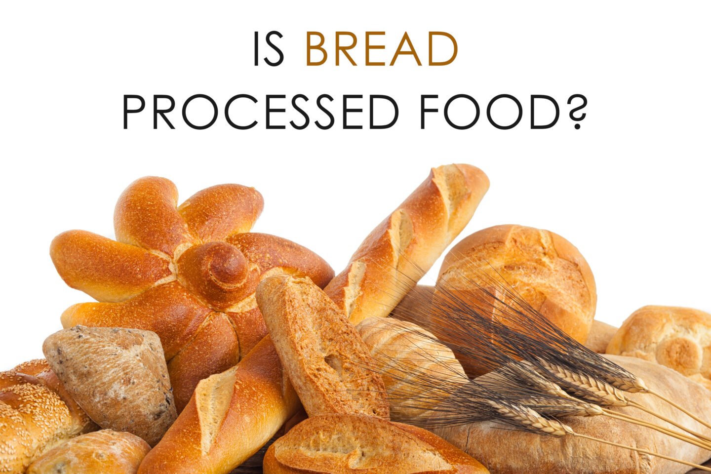 is bread processed food