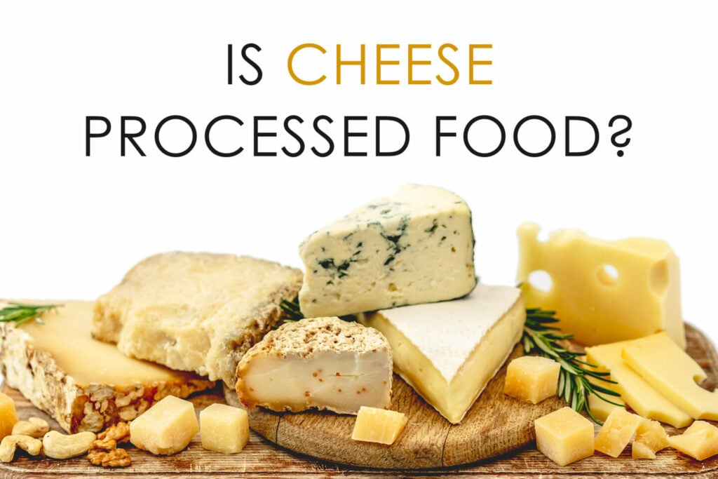 Is Cheese Processed Food? Tastylicious