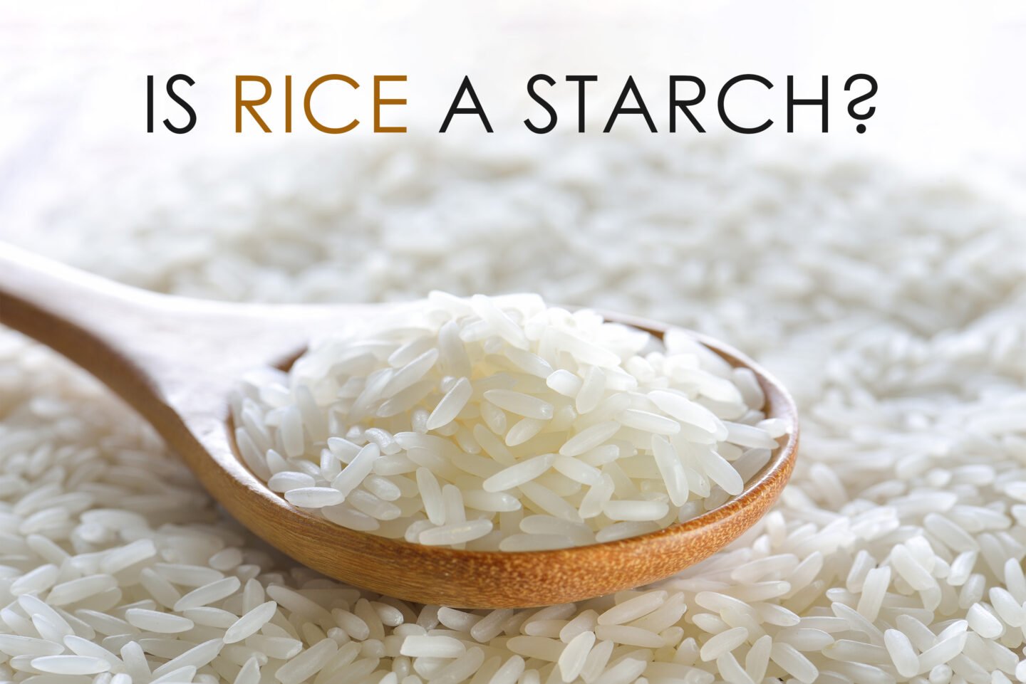 is rice a starch