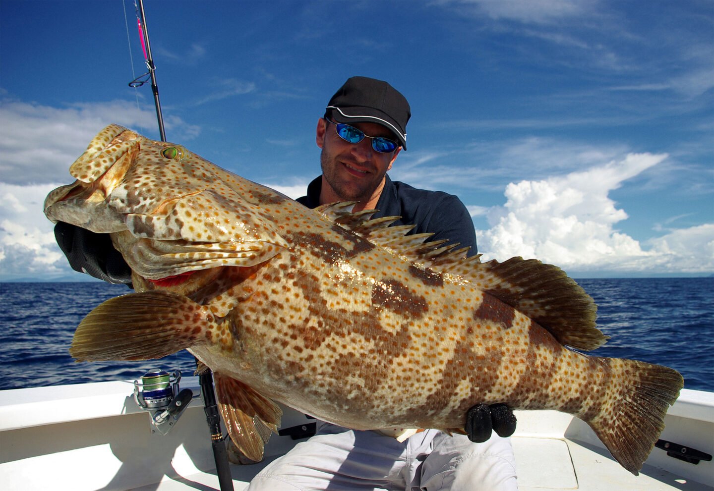 fisherman holding fresh catch grouper