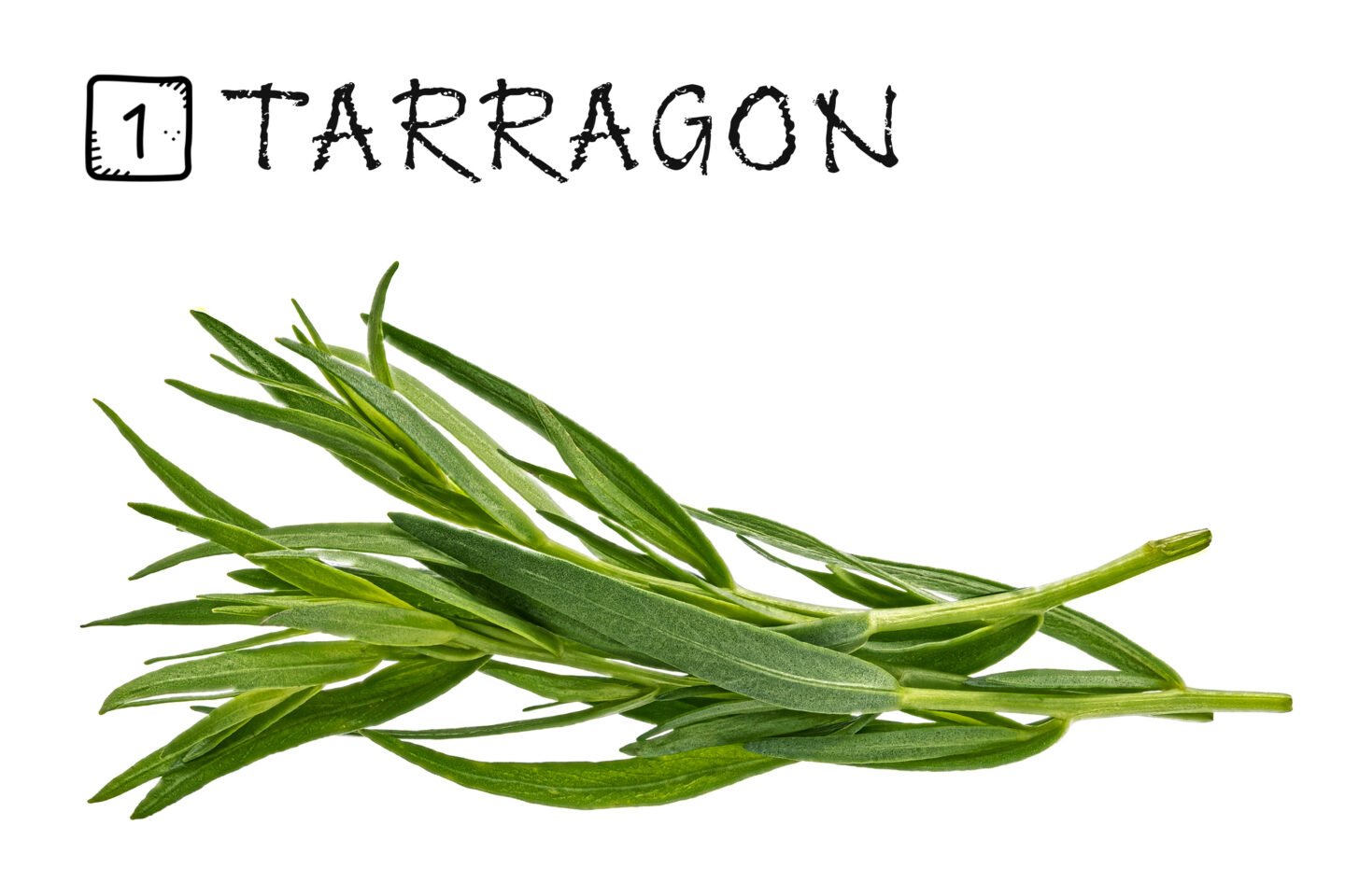 1 tarragon leaves