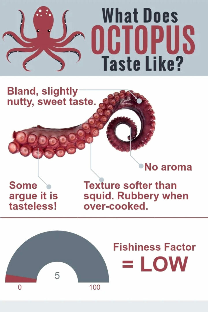 What Does Octopus Taste Like? Quick Facts