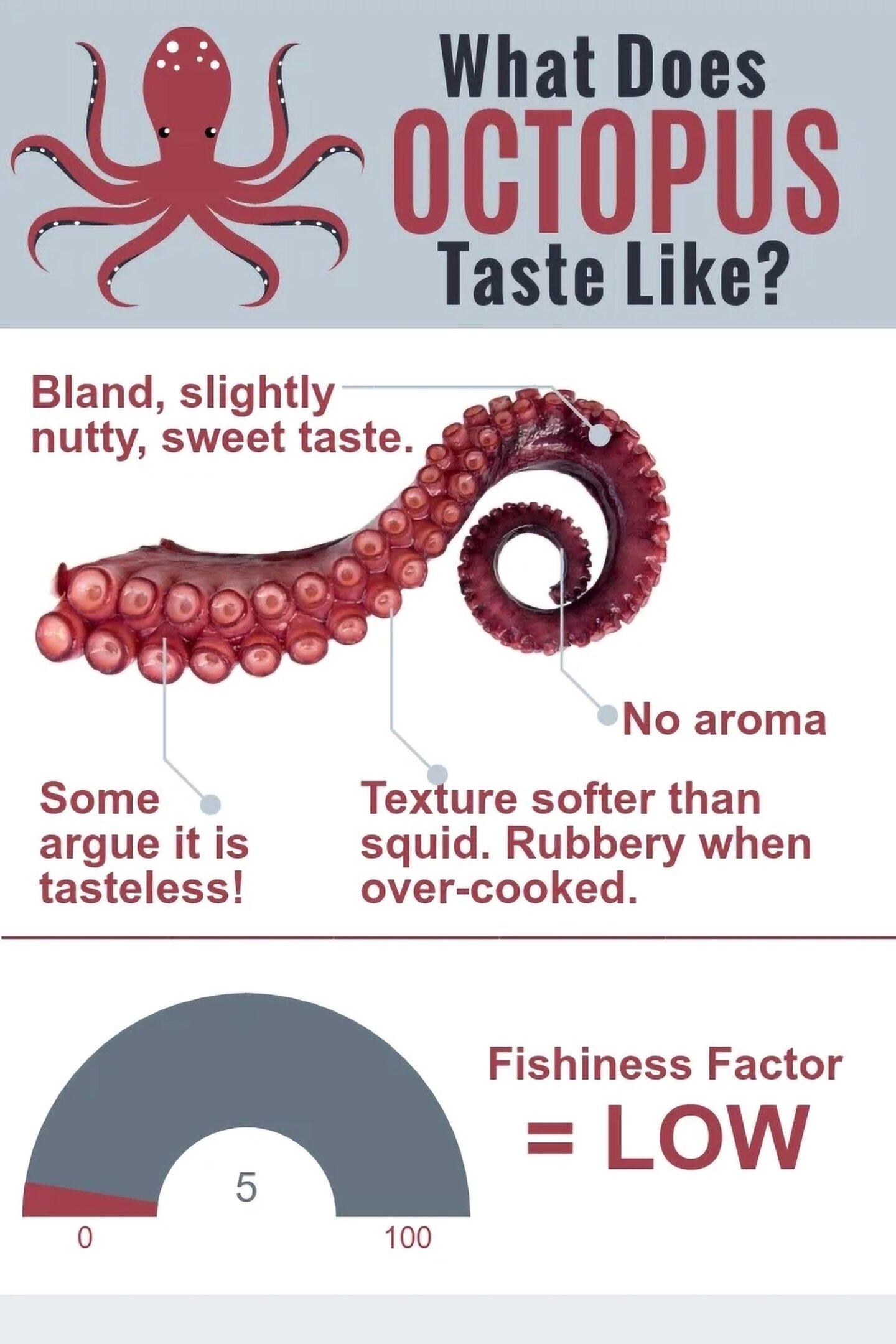 What does octopus taste like