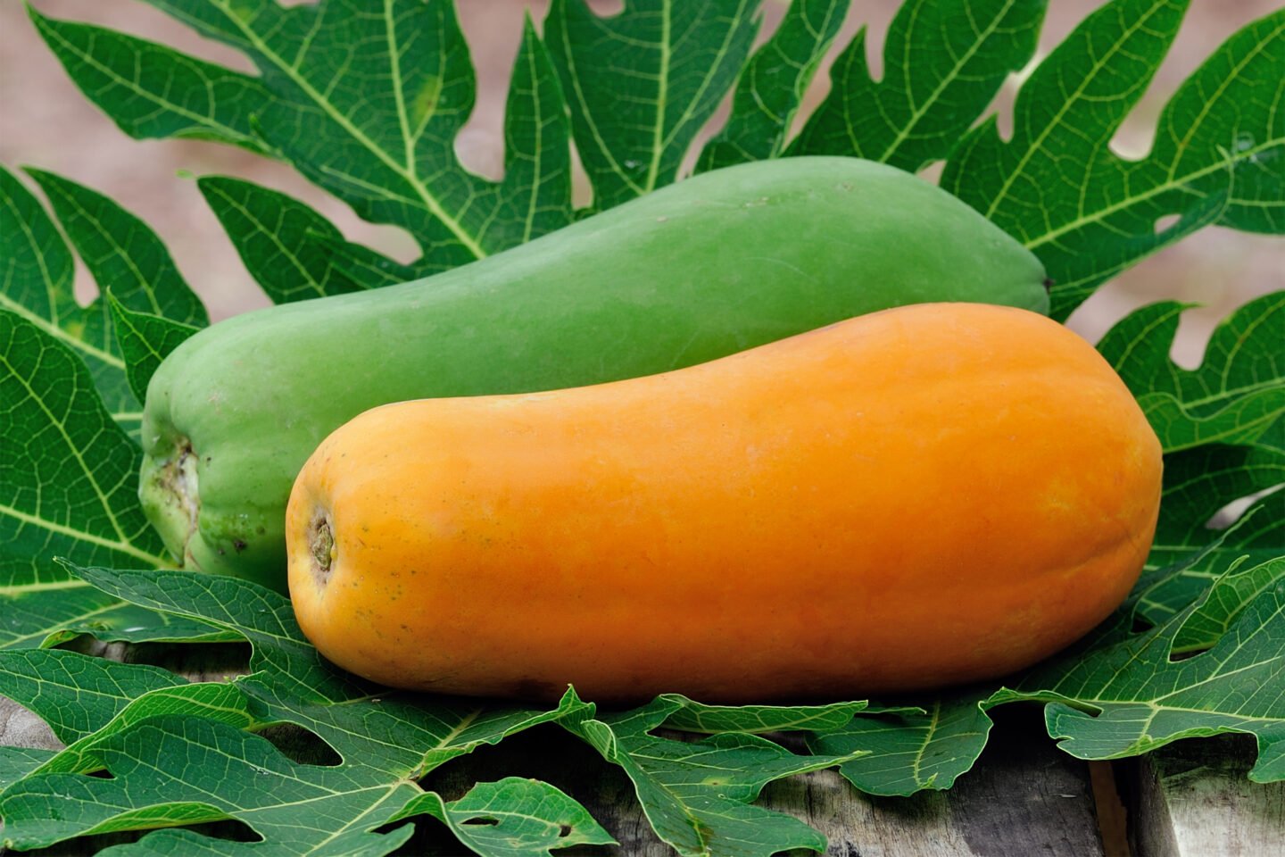 ripe and unripe papaya