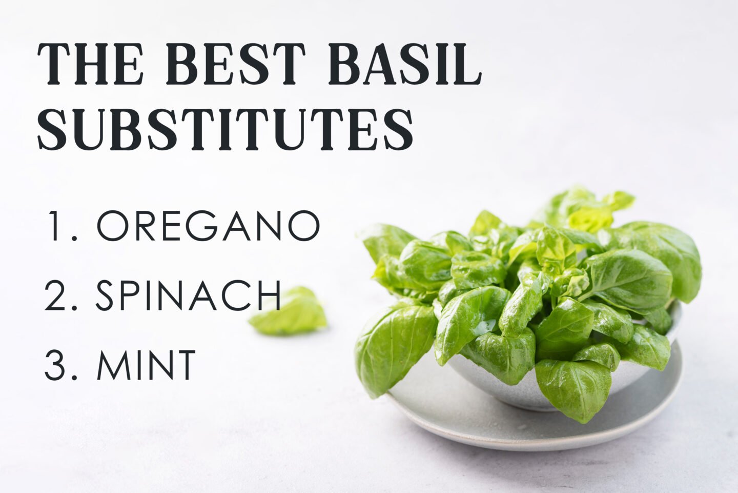 best basil substitutes