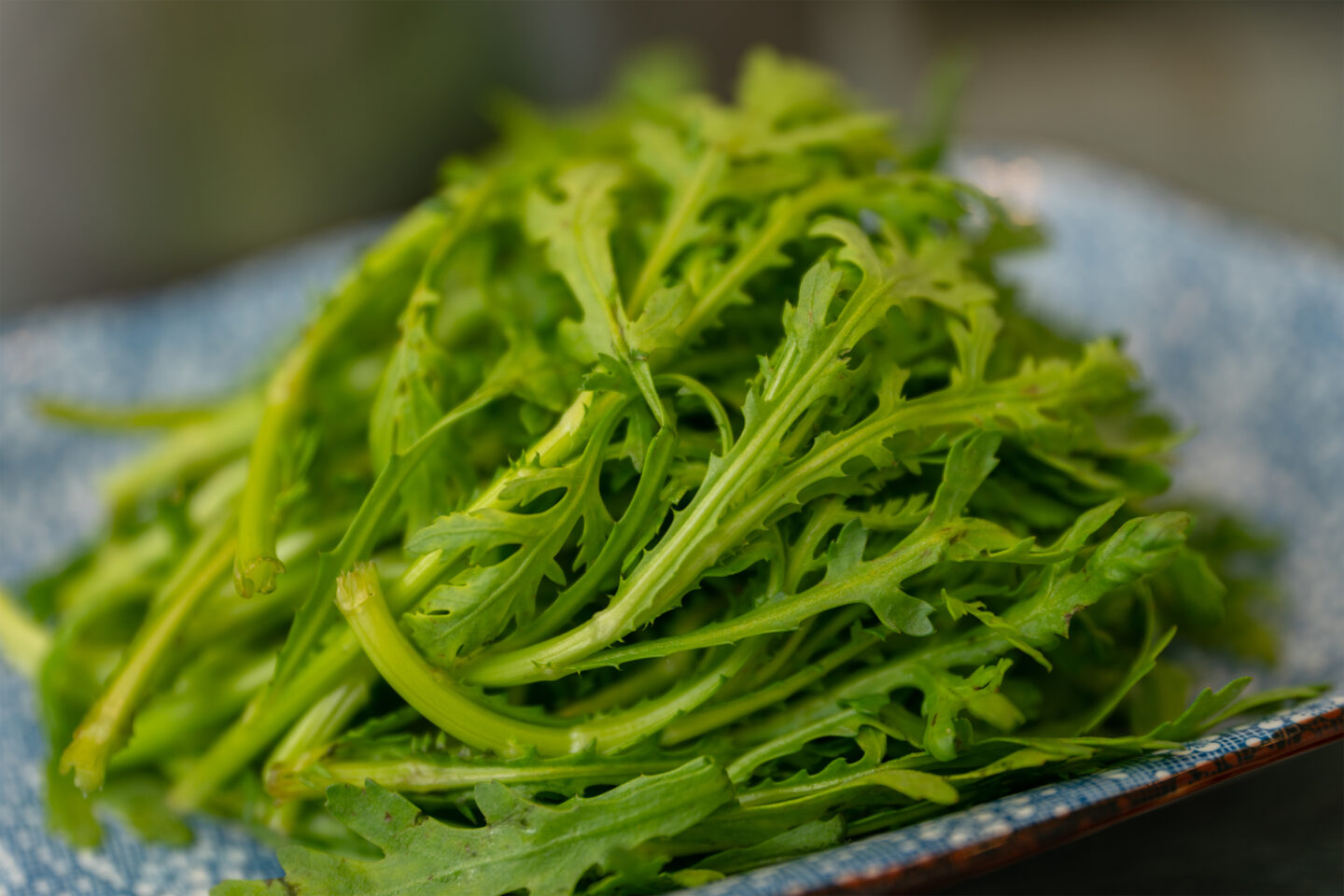 closeup shot of mizuna leaves on a plate