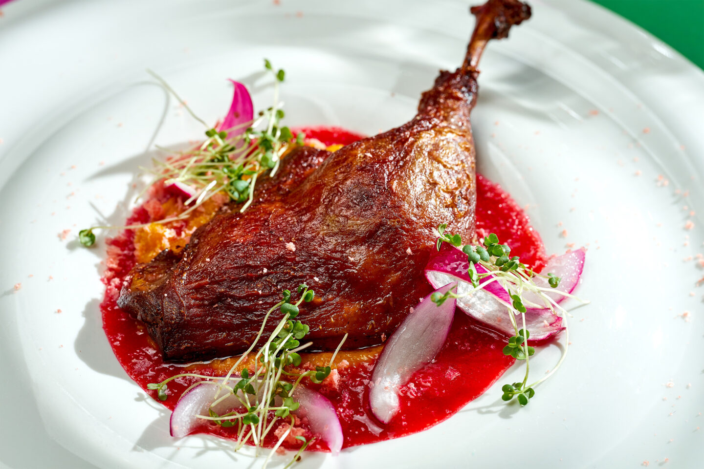 duck leg confit with red sauce and onions