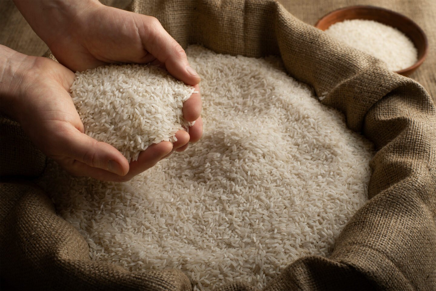 human hands holding handful of rice