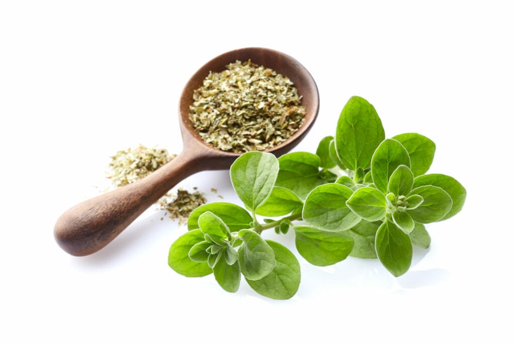 Marjoram Substitutes 5 Options