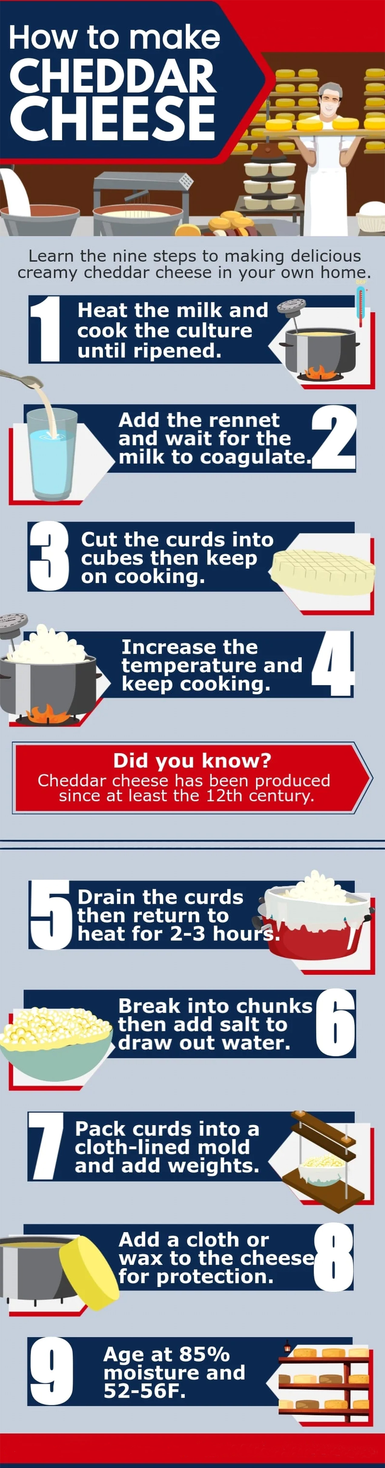 How to make cheddar cheese infographic